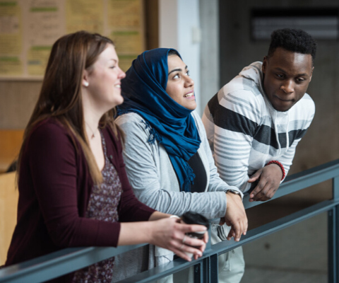 Equity, diversity and inclusion at Canadian universities : Report on the 2019 survey, by Canada Universities
